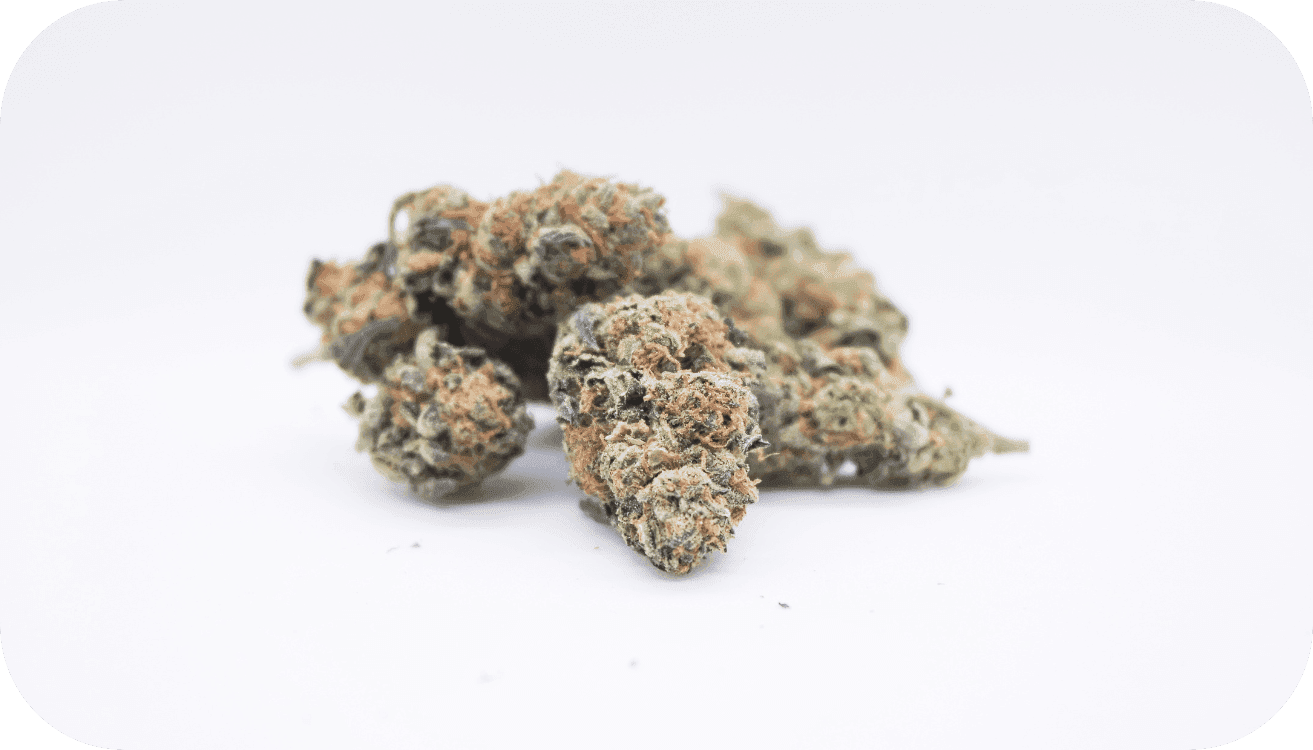 Cannabis auf weißem Hintergrund